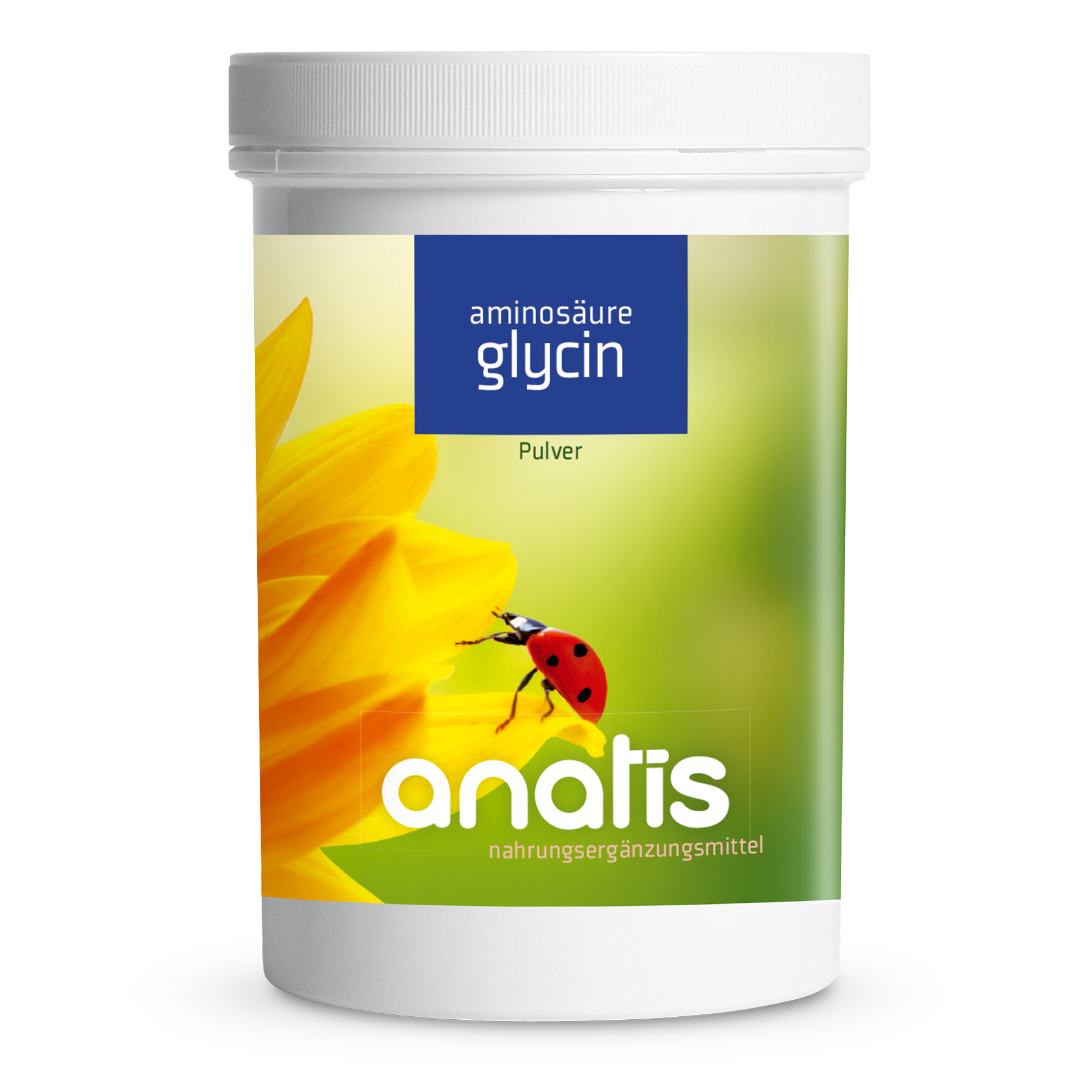 Aminosäure Glycin Pulver 600g Anatis